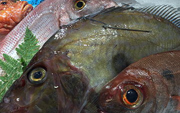 Pesce fresco preferibilmente dalla Sicilia